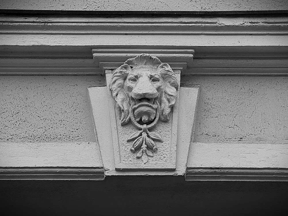 B80 Immobilien