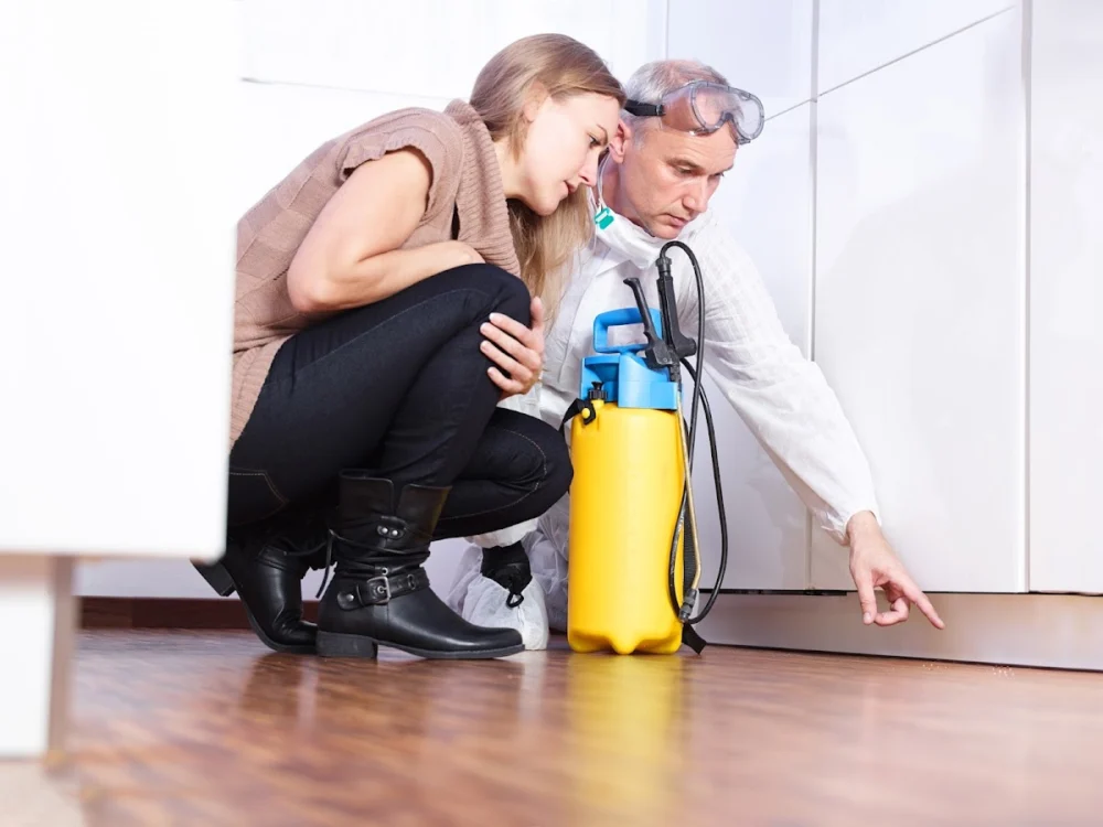 Büro für Bautechnik - Schimmelpilzbefall