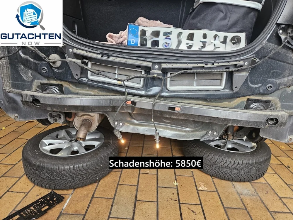 𝗞𝗙𝗭 𝗚𝘂𝘁𝗮𝗰𝗵𝘁𝗲𝗿 𝗙𝗿𝗮𝗻𝗸𝗳𝘂𝗿𝘁 - 𝗚𝗨𝗧𝗔𝗖𝗛𝗧𝗘𝗡 𝗡𝗢𝗪