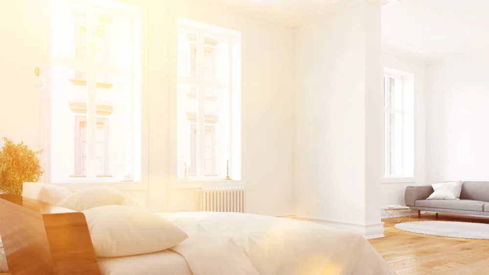 MJ Immobilien Management & Verwaltungs GmbH
